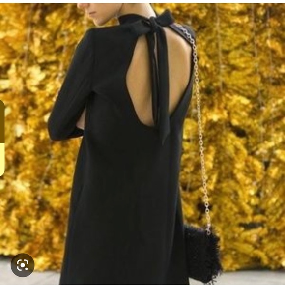 Zara Sexy Long Sleeve Backless Mini Dress - Picture 1 of 8